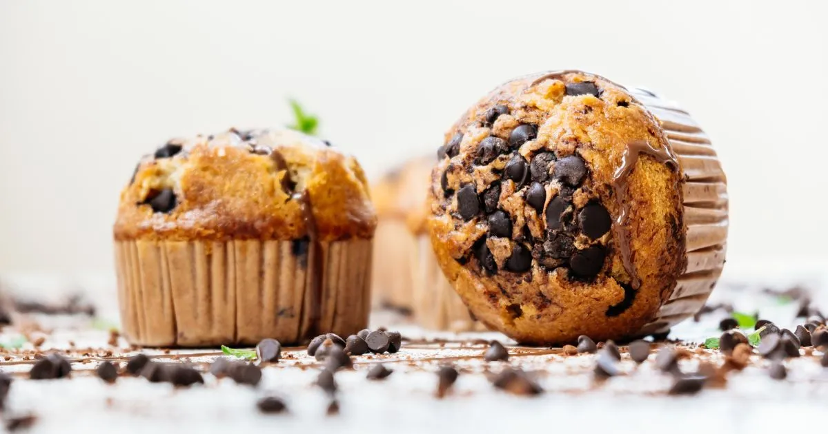 chocolate chip banana bread muffins